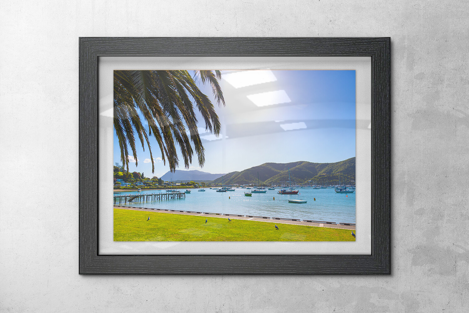 Waikawa Bay, Picton NZ