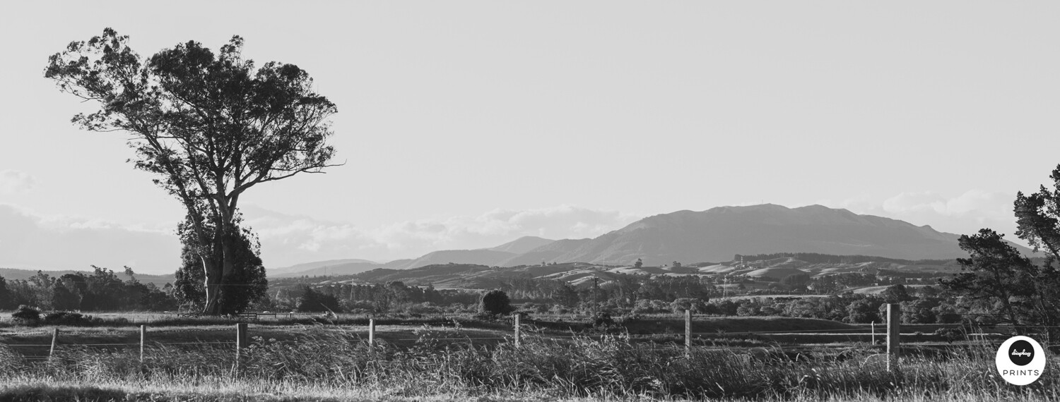 Mt Grey... grey. (Panoramic)