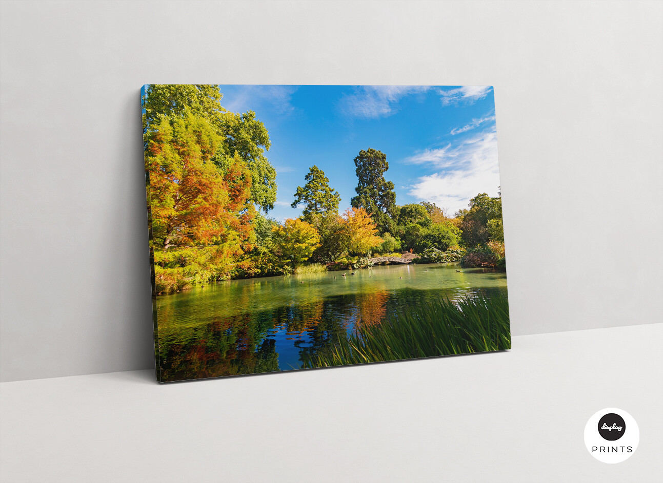 Hagley Park, Christchurch NZ