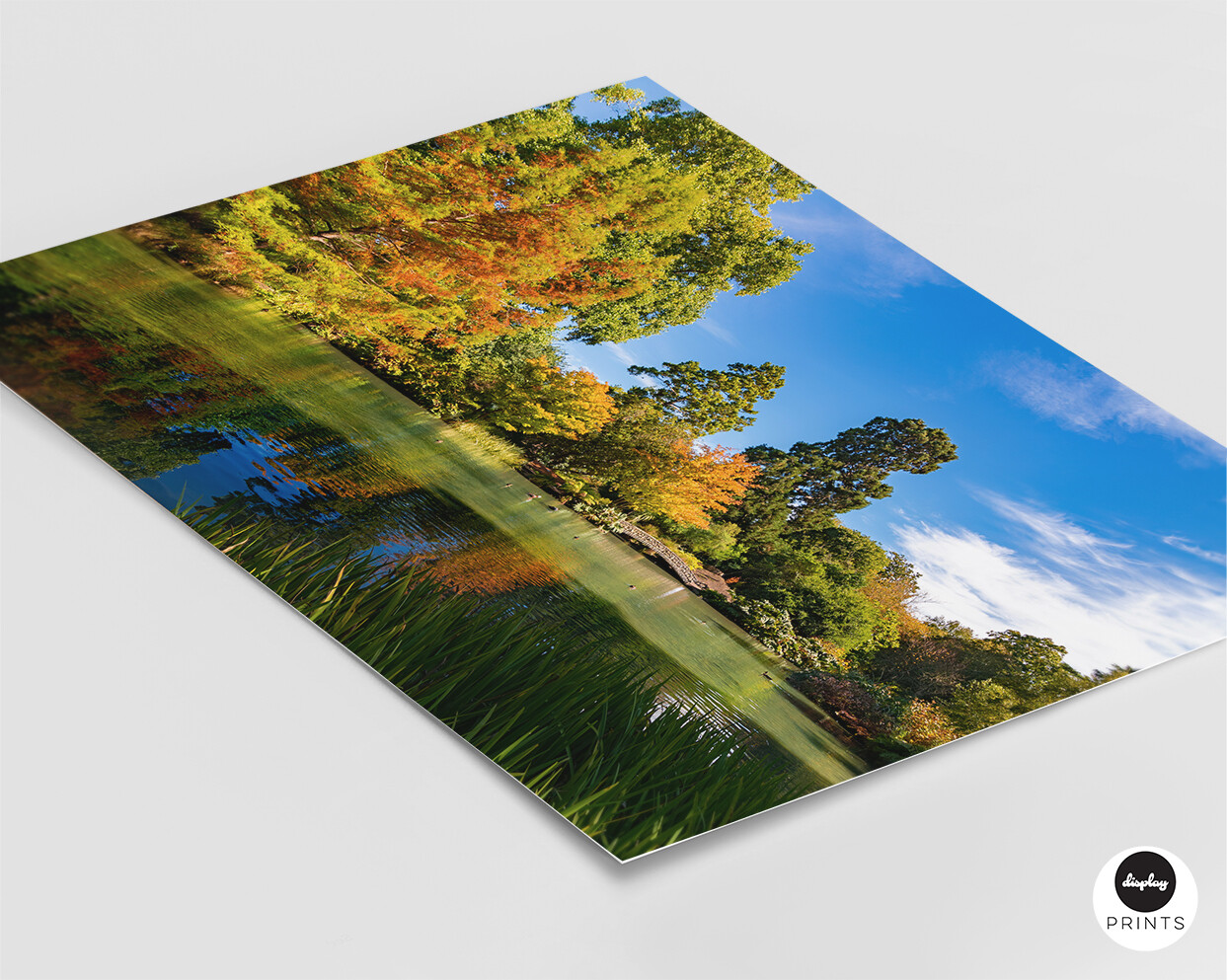 Hagley Park, Christchurch NZ