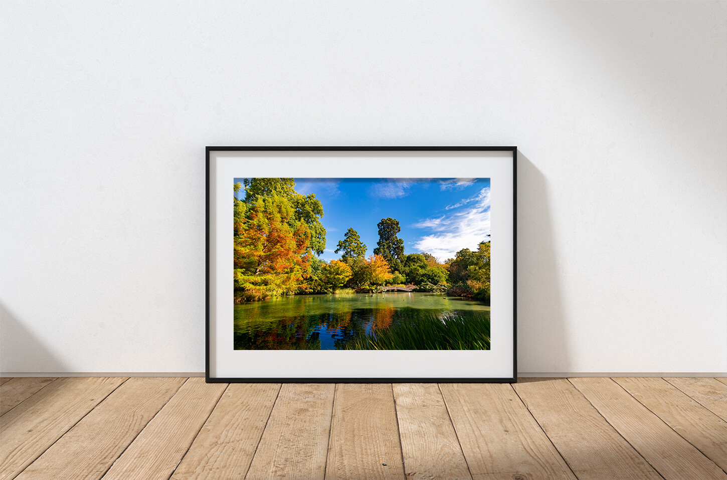 Hagley Park, Christchurch NZ