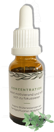 Blütenessenz Konzentration