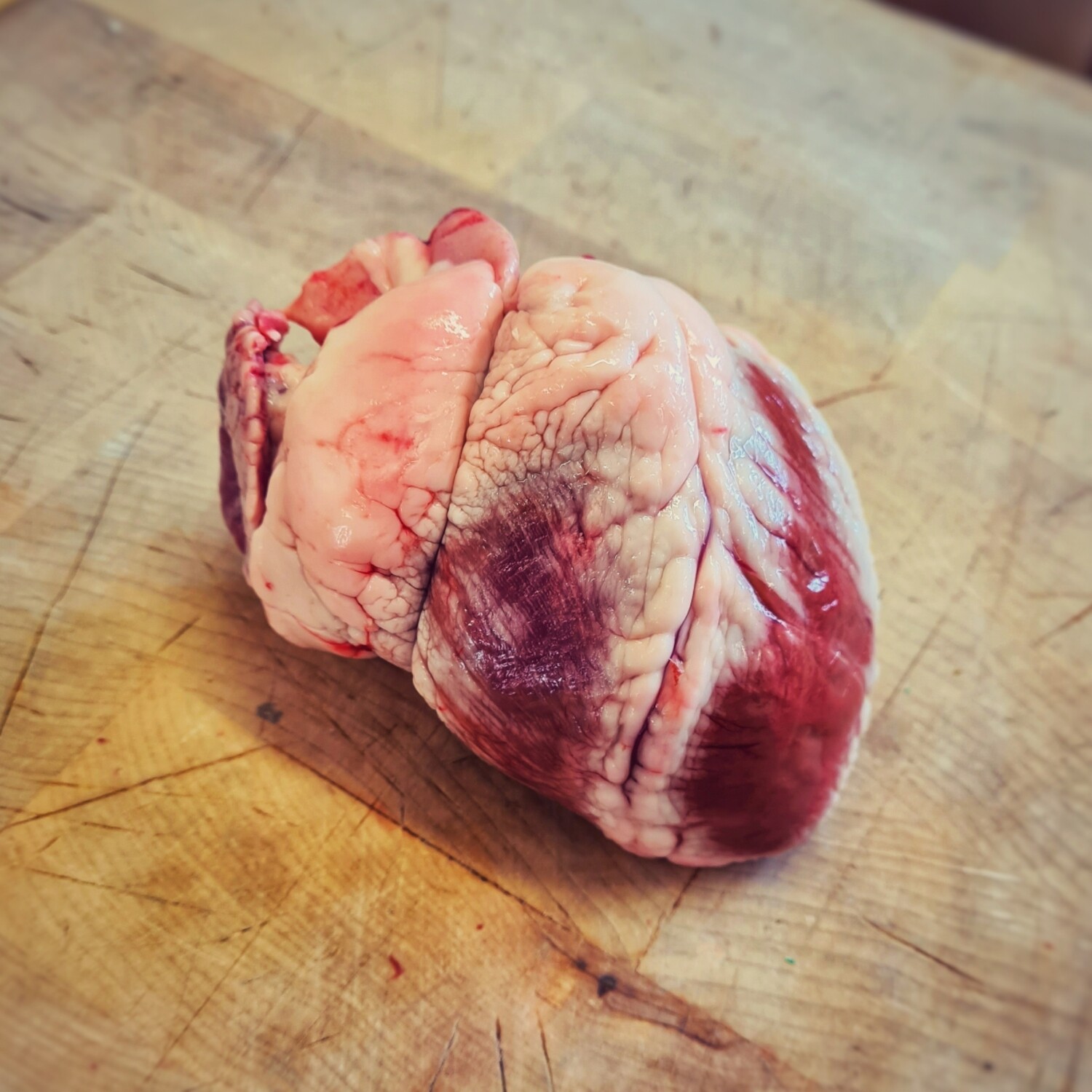 Lambs Heart