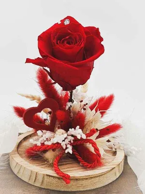 Eternal rose on stem and dried flowers under bell. Red, white and natural color. Handmade.