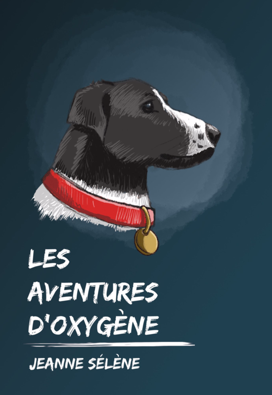 Les aventures d'Oxygène