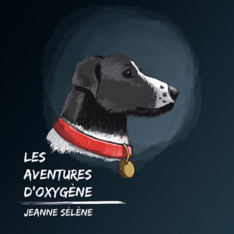 Les aventures d'Oxygène — audiolivre