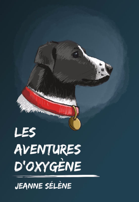 Les Aventures d'oxygène — ebook