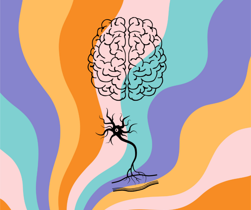 Handicap neurologique