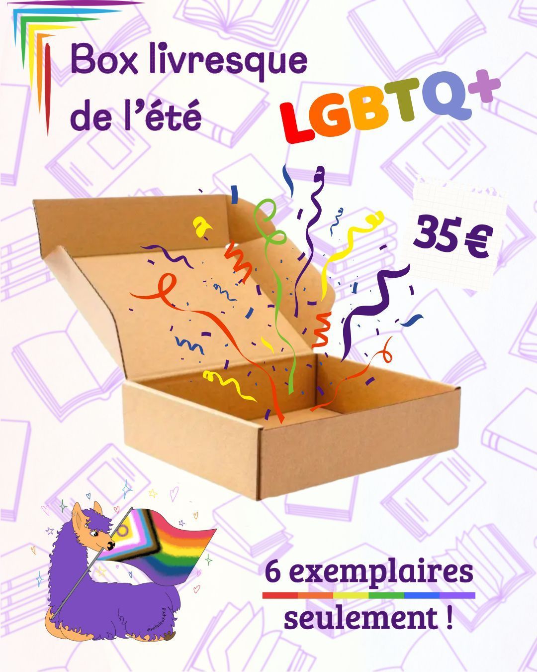 Box livresque queer de l'été