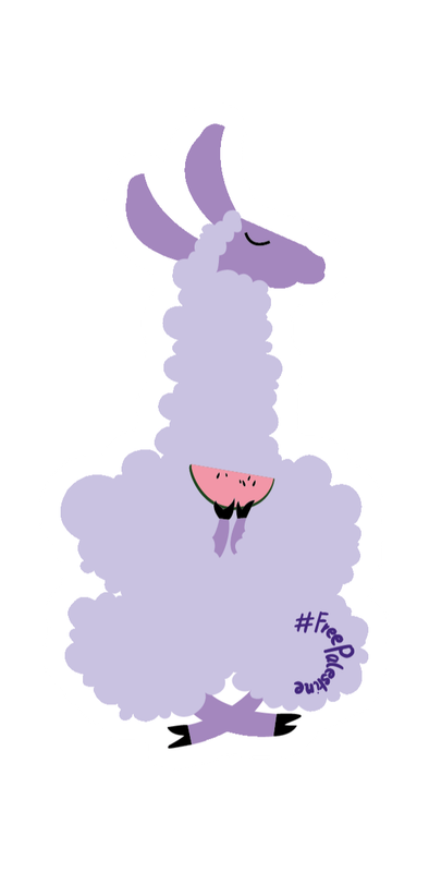 une lama violet pâle assis en tailleur et tenant dans ses pattes avant une tranche de pastèque