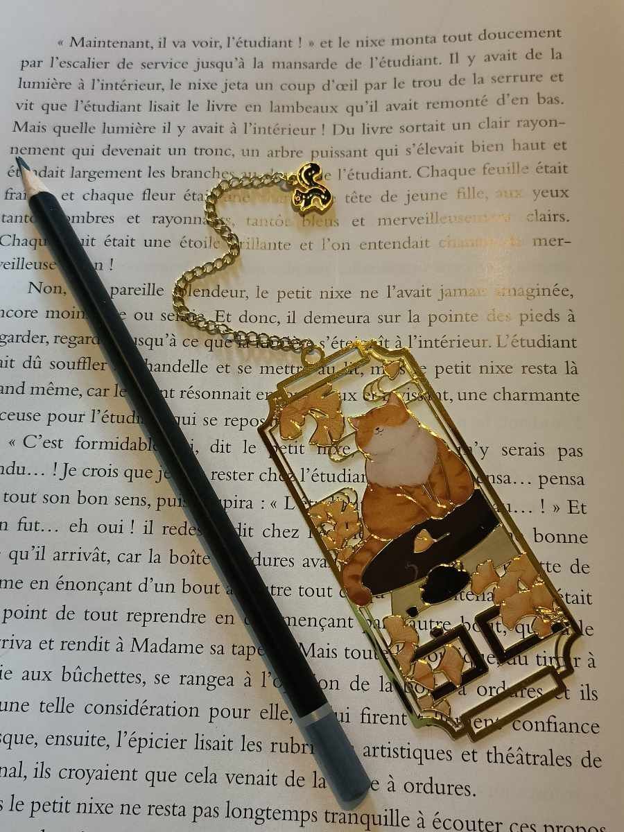 Marque-bijou chat roux feuilles de ginkgo écureuil