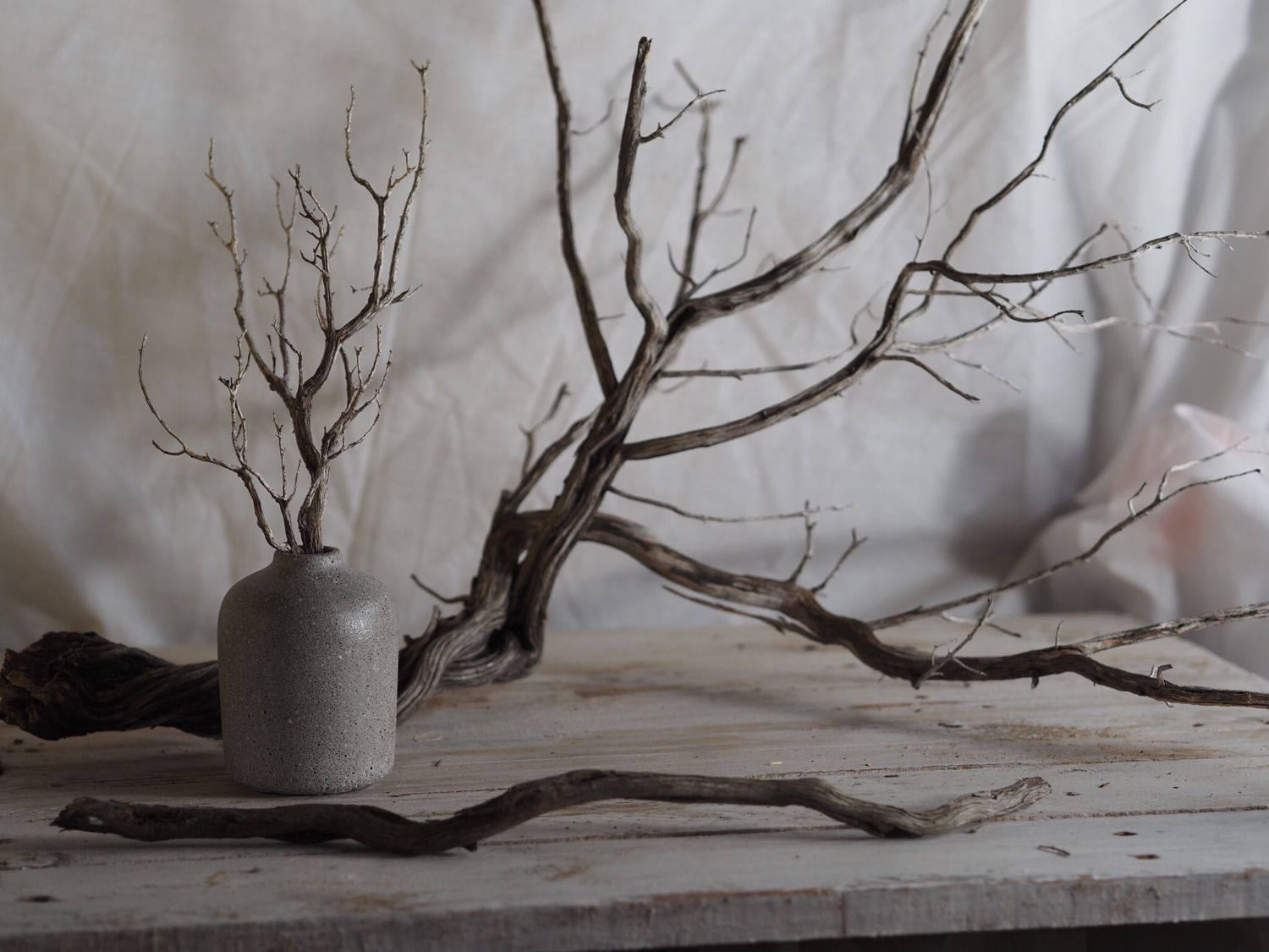 SOLIDUS Mineral – Jarrón Minimalista de Cemento