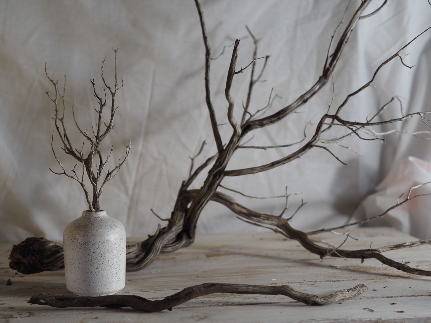 SOLIDUS Albus – Jarrón Minimalista de Cemento