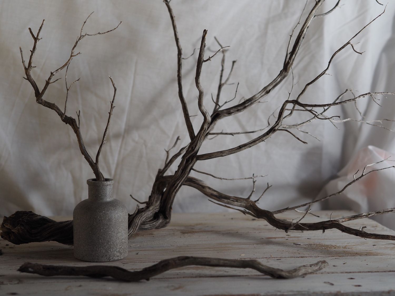 VASCULUM Mineral – Vasija Esencial de Cemento