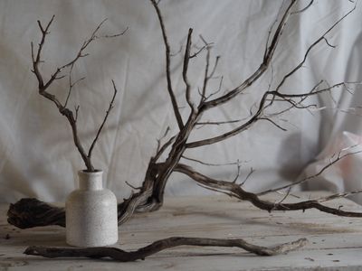 VASCULUM Mineral – Vasija Esencial de Cemento blanco