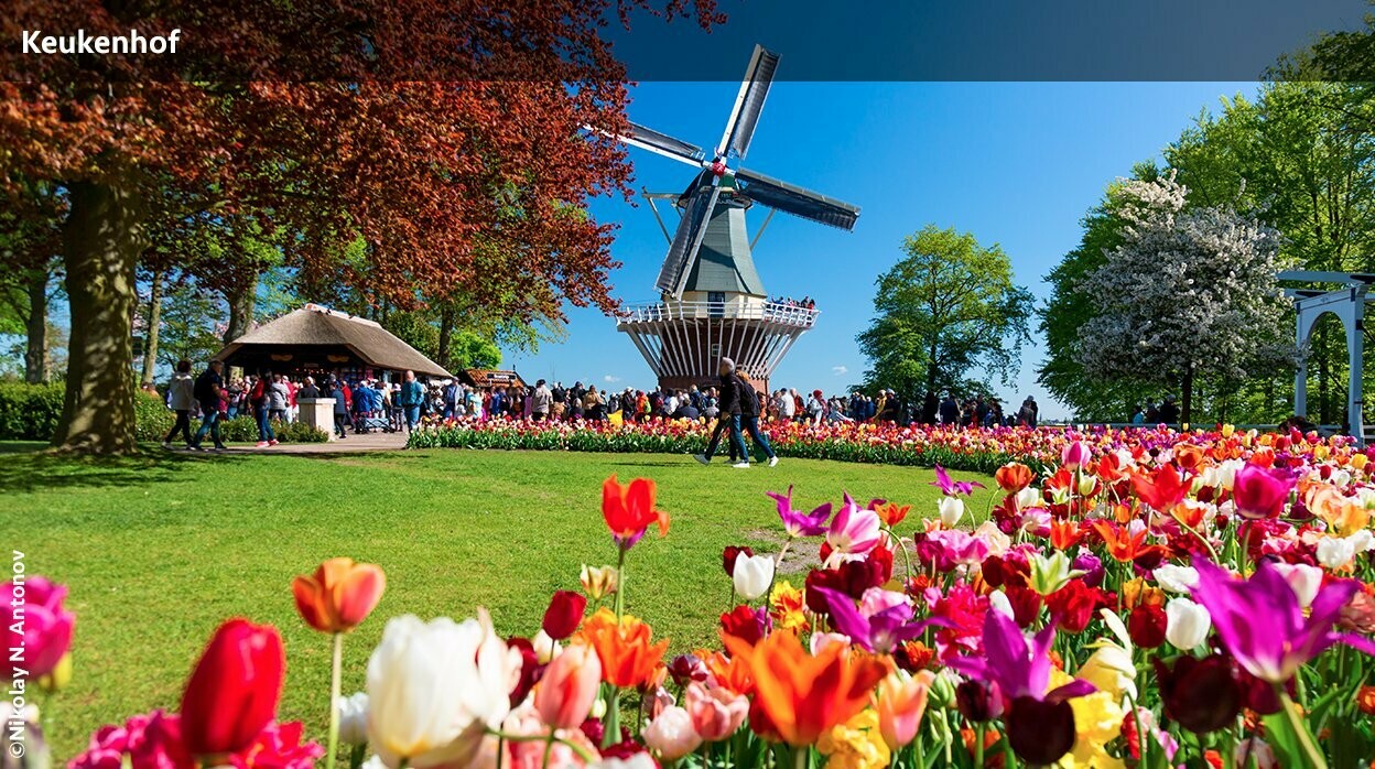 Gartenkunst im Keukenhof & Hortus Bulborum