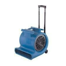 Turbo Snail Carpet Drier