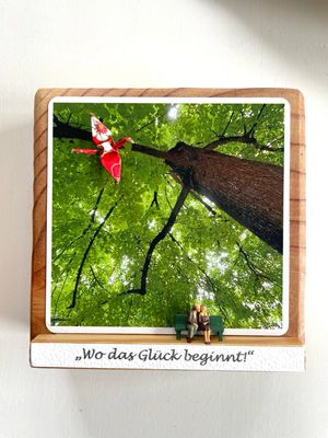 „Wo das Glück beginnt „ - Alter Baum