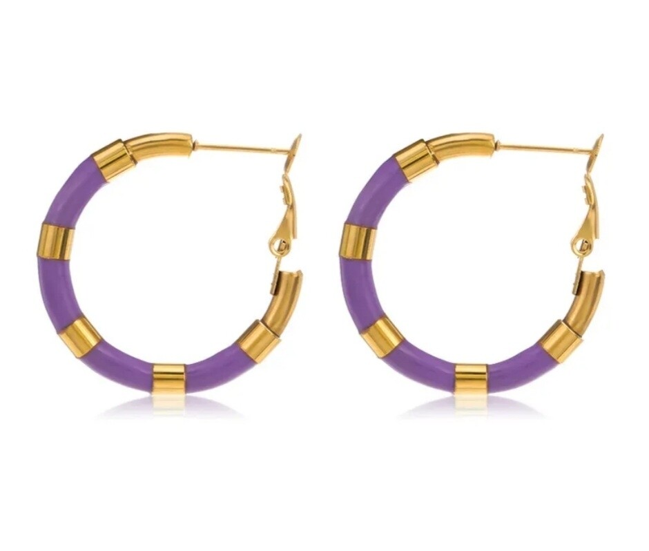 Color Stainless Steel hoop earrings