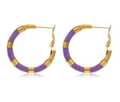Color Stainless Steel hoop earrings