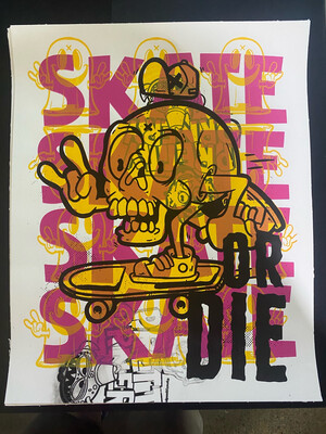 16x20” Skate Or Die Test Print