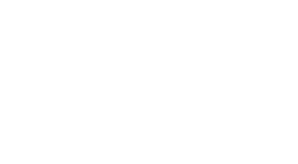Corner Burger Mt Eden