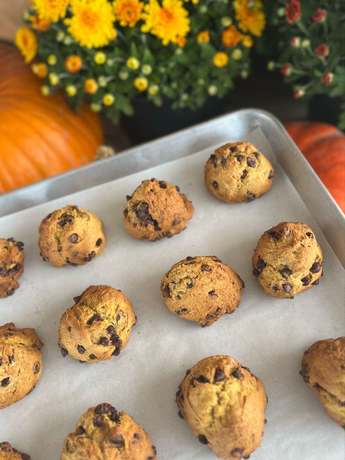 Biscuits à la citrouille - 6 unités Biscuits à la citrouille - 6 unités