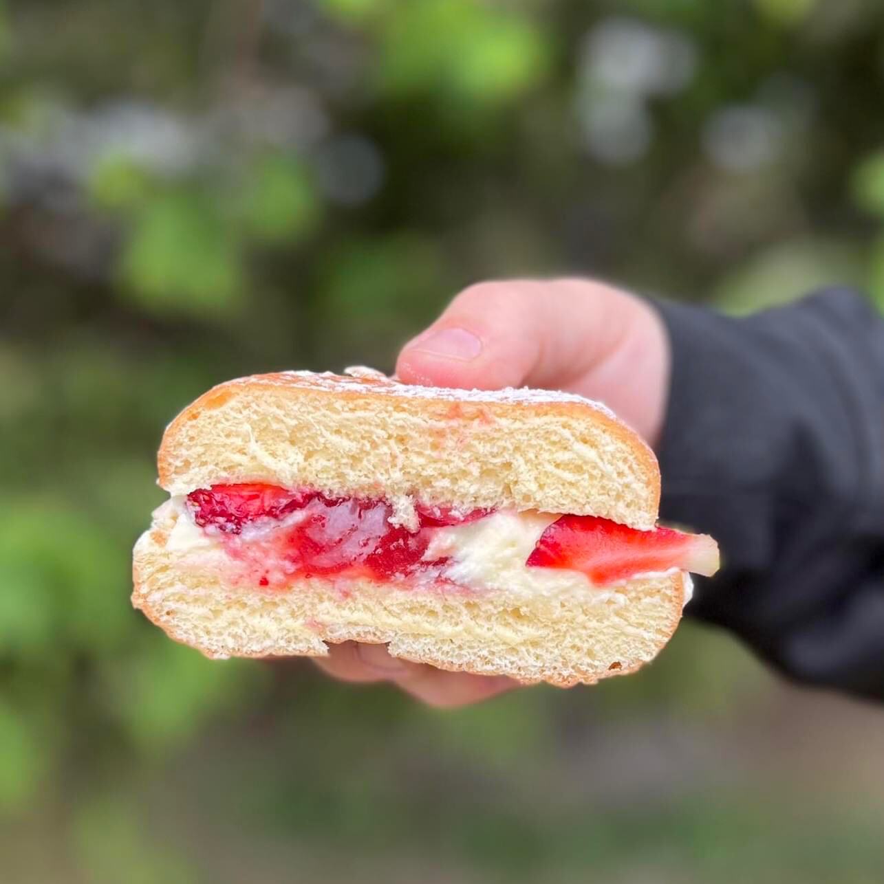 Beignes- 6 unités Beignes- 6 unités