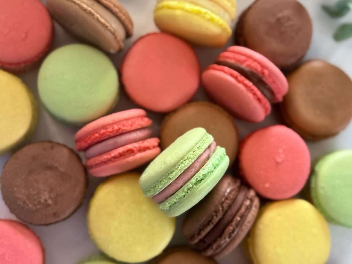 Macarons (Emballage de 6) Macarons (Emballage de 6)