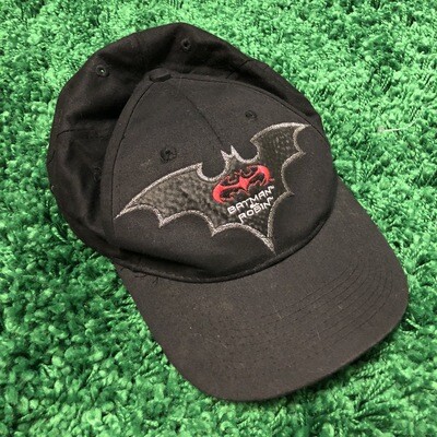 Batman &amp; Robin Hat