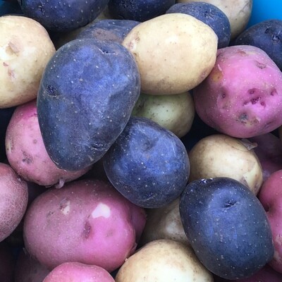 Potatoes mixed, a small box