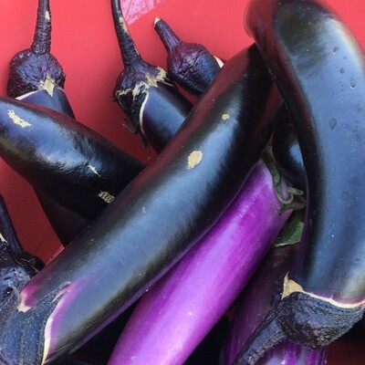 Eggplant, by the pound
