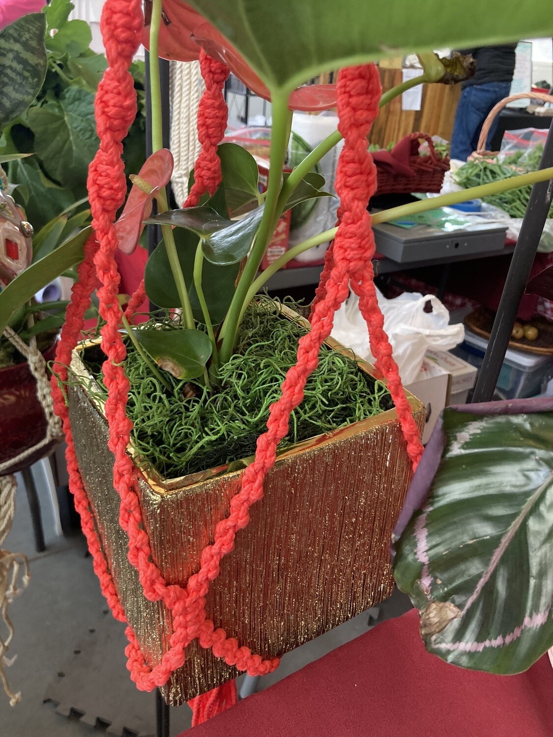 001 Macrame for hanging potted plants