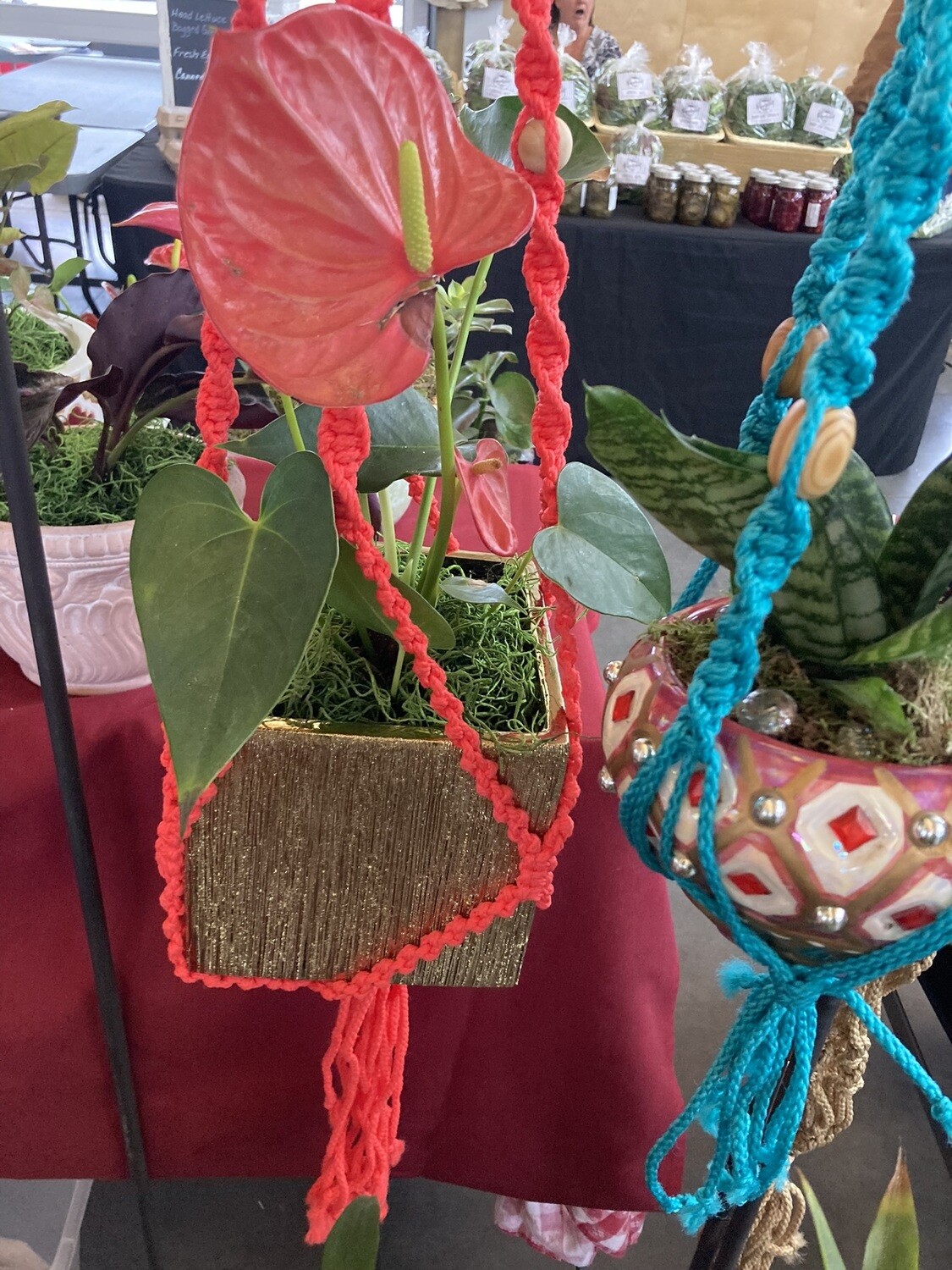 001 Macrame for hanging potted plants