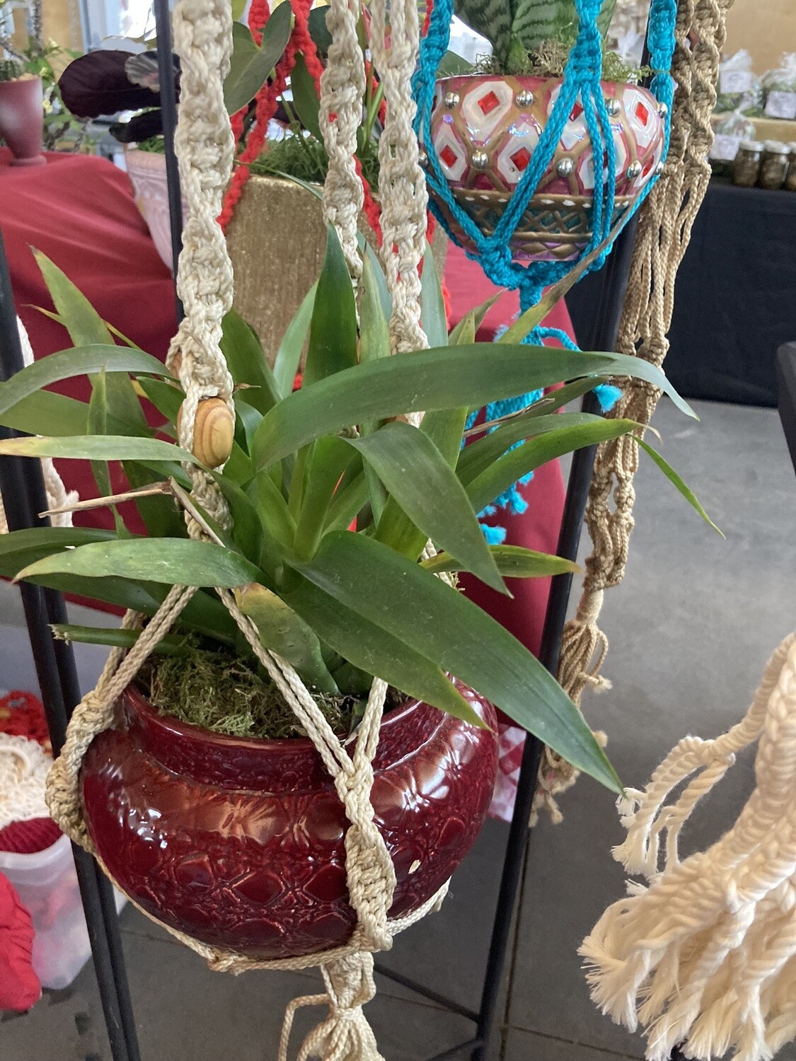 001 Macrame for hanging potted plants