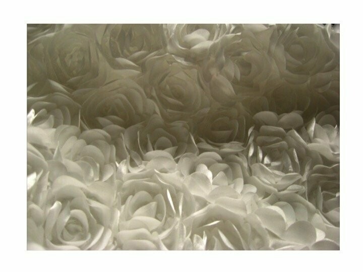 Ivory Rosette