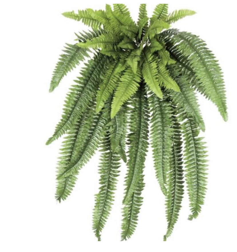 Patio/Stage Decor - Fern Bush