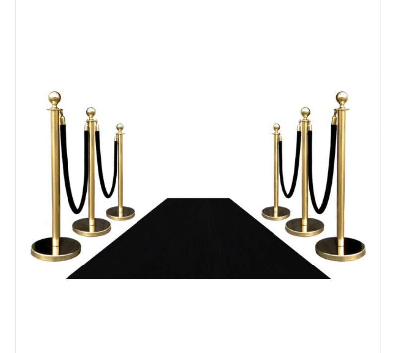 NEW!! 6' Rope and Stanchion - Gold/Black