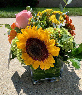 $65 Seasonal Fresh Flower Vase Arrangement