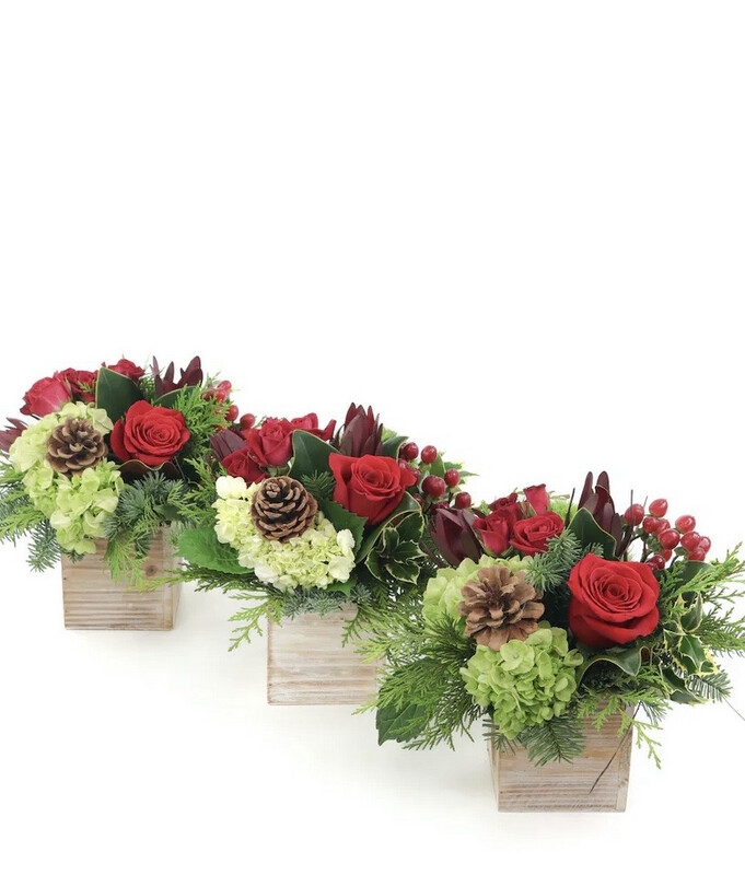 $150 Christmas Fresh Flower Arrangement - (3 Arrangements Total)