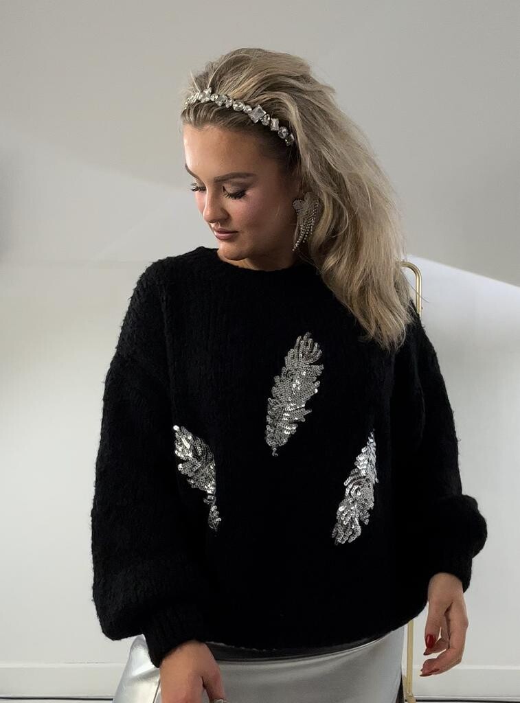 Nameless Trui paillet veer ZWART 9037