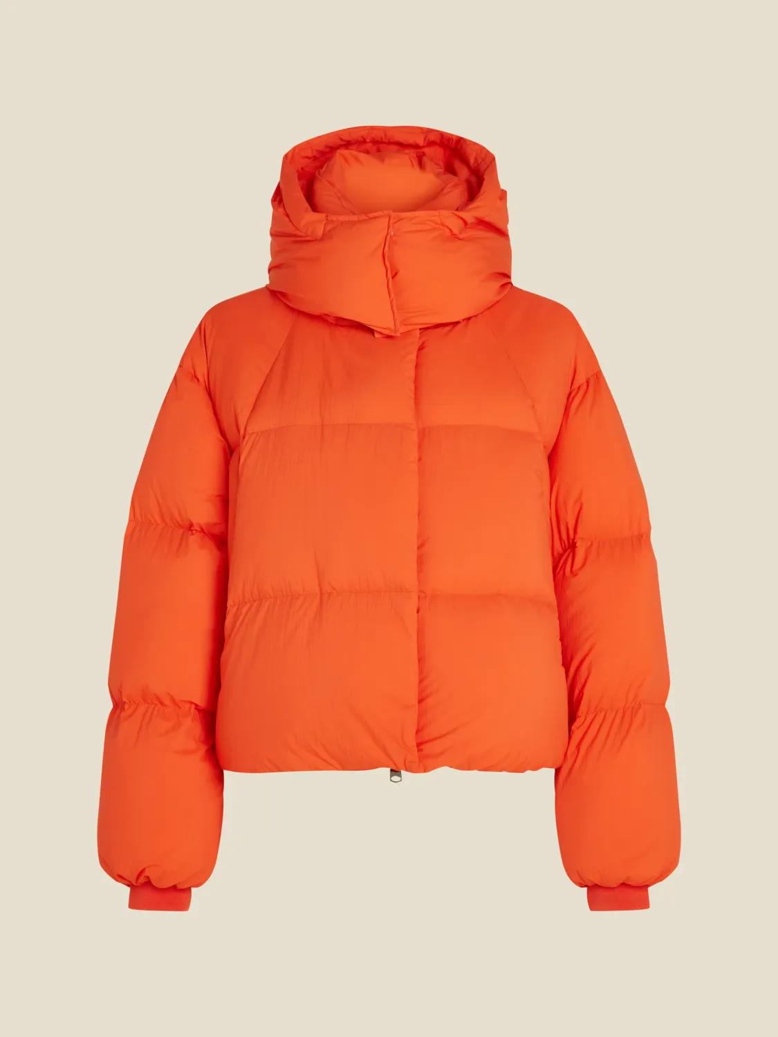 Beaumont SOHO jacket tigerlily BM09510243