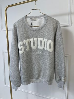Ambika sweater Grijs Studio sweater