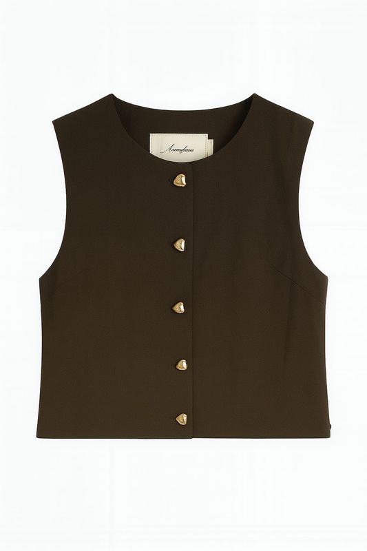 Ambika gilet gouden knoop brown lieke