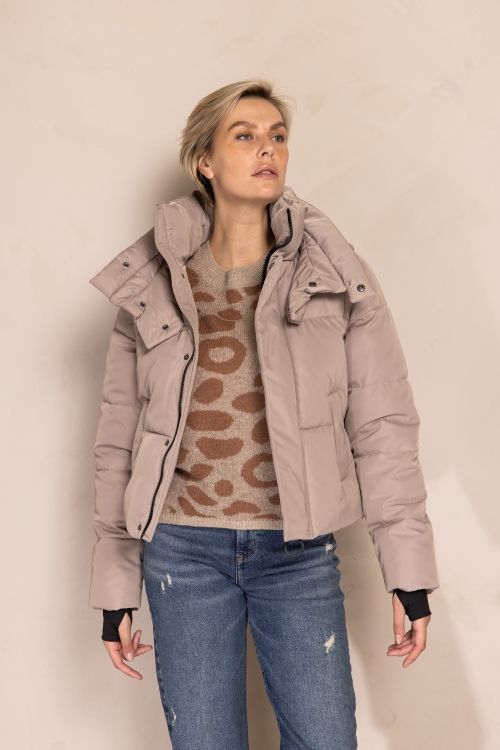 Zhrill ZHNORE Creme ZJ192-N3039