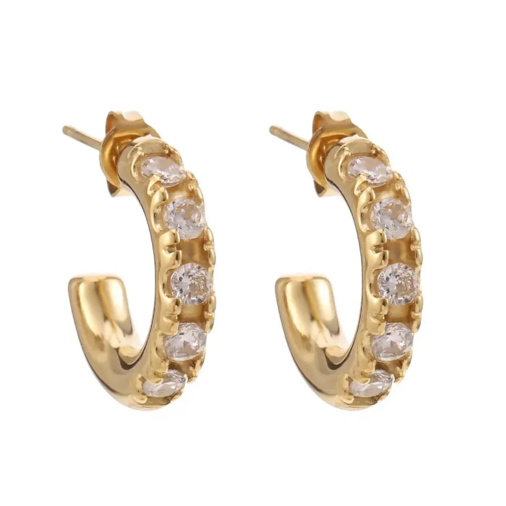 Rose & Camellia oorring klein stras steentje gold 11920-6f