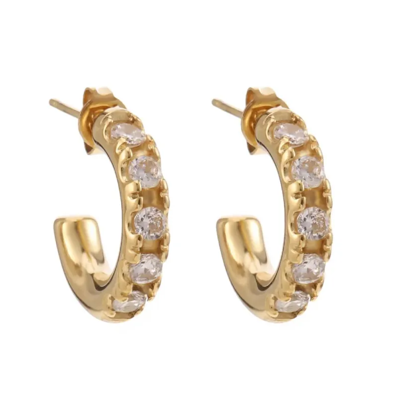 Rose & Camellia oorring klein stras steentje gold 11920-6f