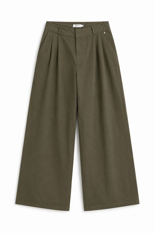 Ambika Pantalon bandplooi Green Quintisha