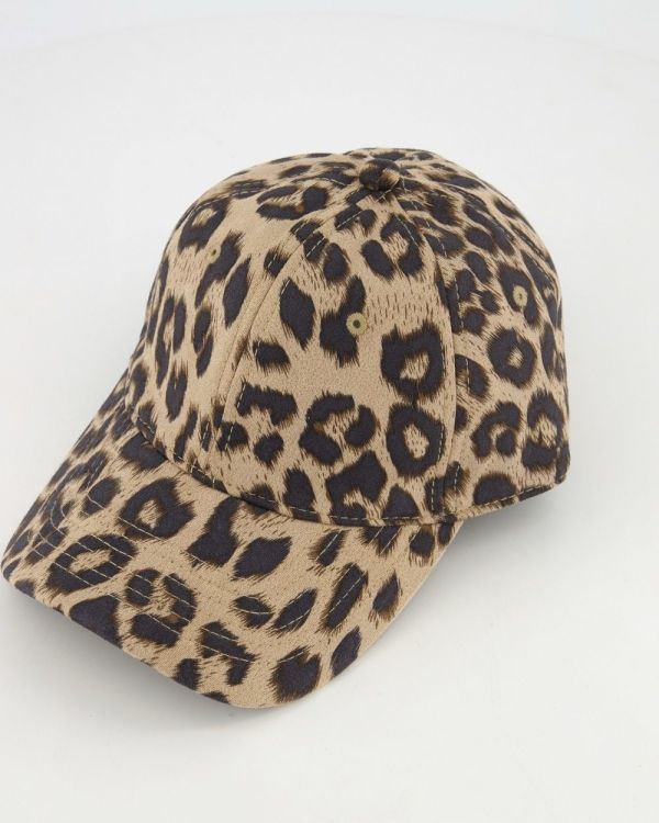 Teatro pet leopard Gwen