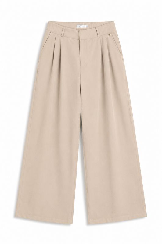 Ambika Pantalon bandplooi Beige Quintisha